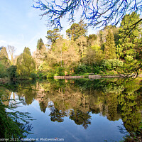 Buy canvas prints of Reflections at Cockington Torquay by Rosie Spooner