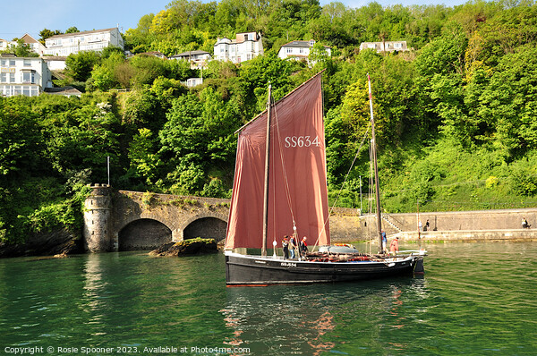 Lugger heading out to sea  Picture Board by Rosie Spooner