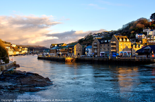 Winter sun at Looe Picture Board by Rosie Spooner