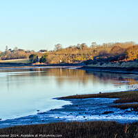 Buy canvas prints of The River Exe  by Rosie Spooner