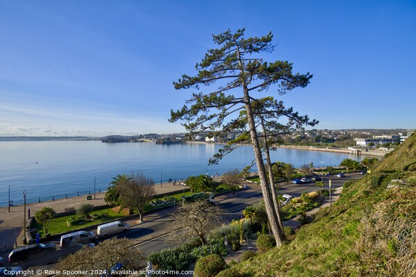 Looking down on Torquay Picture Board by Rosie Spooner