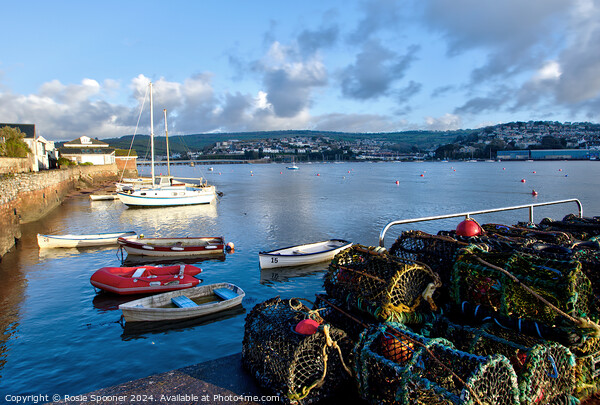 Lobster Pots at Shaldon Picture Board by Rosie Spooner