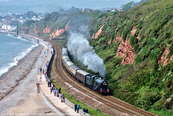 Steam train Clun Castle passing Dawlish Picture Board by Rosie Spooner