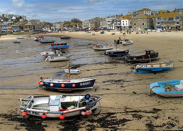 Low Tide Town Beach St Ives Picture Board by Rosie Spooner