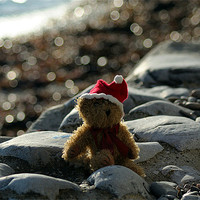 Buy canvas prints of Christmas at the Beach by Rosie Spooner