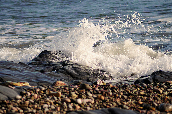 Wave on the Shoreline Picture Board by Rosie Spooner
