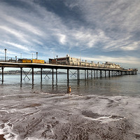 Buy canvas prints of Paignton Pier (and a dog) by Rosie Spooner