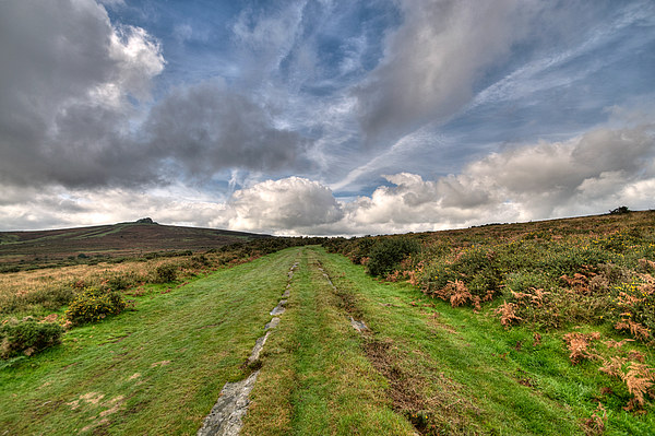 Granite Tramway Haytor on Dartmoor Picture Board by Rosie Spooner