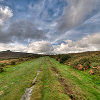 Buy canvas prints of Granite Tramway Haytor on Dartmoor by Rosie Spooner