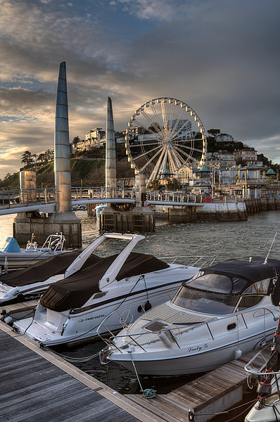 Torquay Harbour and Big Wheel Picture Board by Rosie Spooner
