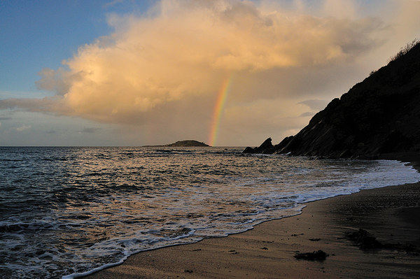 Rainbow over Looe island Picture Board by Rosie Spooner