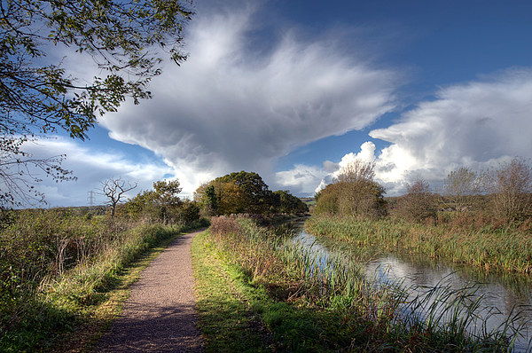 Rain clouds over the Grand Western Canal Picture Board by Rosie Spooner
