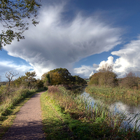 Buy canvas prints of Rain clouds over the Grand Western Canal by Rosie Spooner