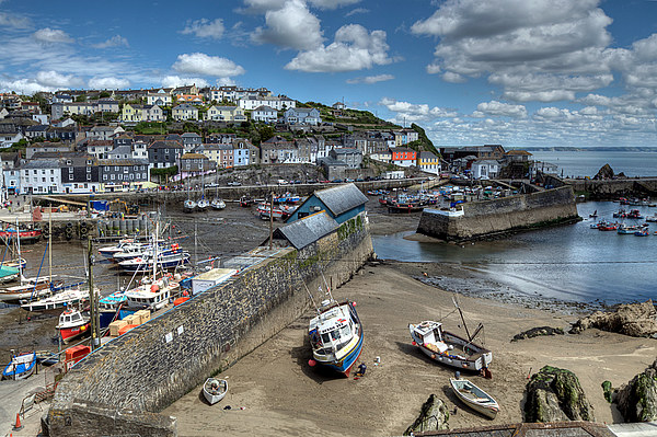 Mevagissey Outer and Inner Harbour Picture Board by Rosie Spooner