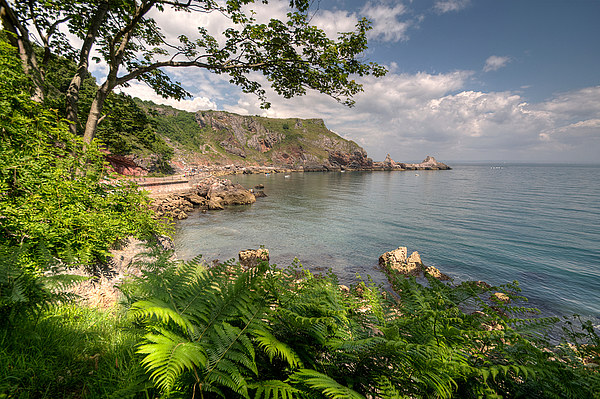 Ansteys Cove Torquay and Long Quarry Point Picture Board by Rosie Spooner