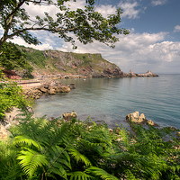 Buy canvas prints of Ansteys Cove Torquay and Long Quarry Point by Rosie Spooner