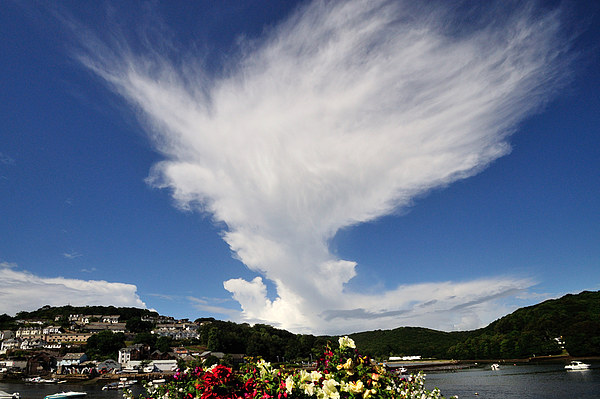 Large cloud over the River Looe Picture Board by Rosie Spooner