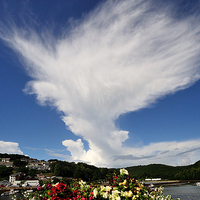 Buy canvas prints of Large cloud over the River Looe by Rosie Spooner