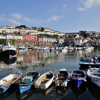 Buy canvas prints of  Brixham Harbour early evening by Rosie Spooner