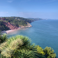 Buy canvas prints of  Oddicombe Beach viewed from Babbacombe Downs by Rosie Spooner