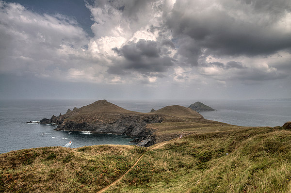  The Rumps on the North Cornwall Coast Path Picture Board by Rosie Spooner