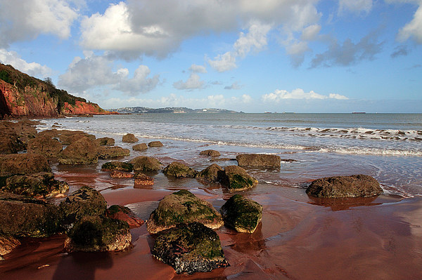  Red cliffs and sand at Broadsands Beach Torbay  Picture Board by Rosie Spooner