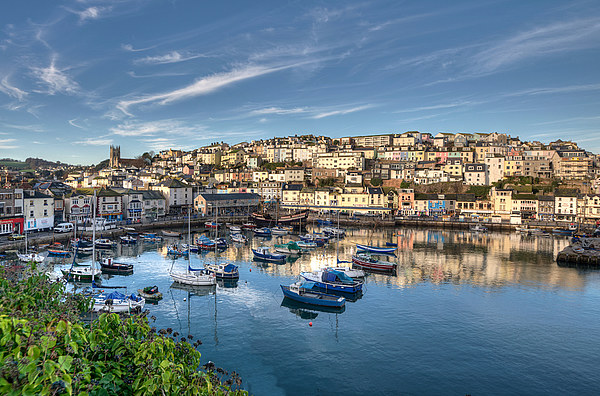  Brixham Harbour reflections early morning Picture Board by Rosie Spooner