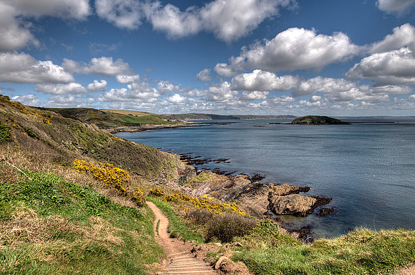  The South West Coast Path approaching Looe  Picture Board by Rosie Spooner