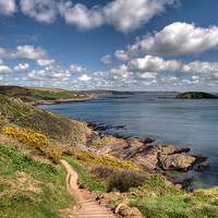 Buy canvas prints of  The South West Coast Path approaching Looe  by Rosie Spooner