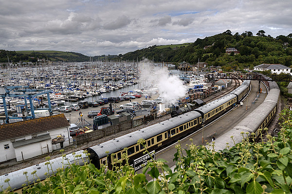  The Steam train at Kingswear Picture Board by Rosie Spooner