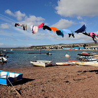 Buy canvas prints of  Windy day on Teignmouth Back Beach by Rosie Spooner