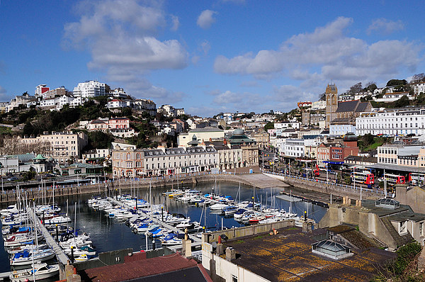  Looking down on Torquay Harbour  Picture Board by Rosie Spooner