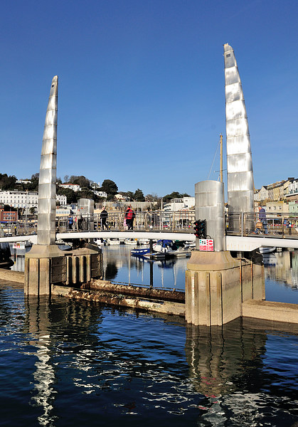  Blue Sky at Torquay Harbour and Bridge portrait  Picture Board by Rosie Spooner