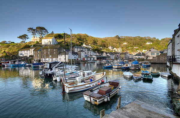  Polperro inner harbour early morning Picture Board by Rosie Spooner