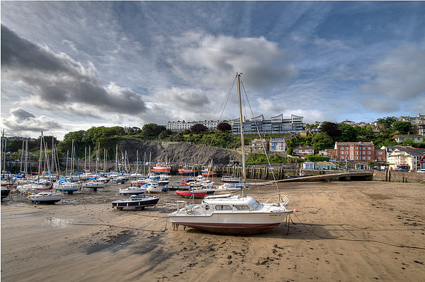 Low Tide Ilfracombe Harbour  Picture Board by Rosie Spooner