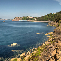Buy canvas prints of  Meadfoot Beach Torquay view from the Coast Path by Rosie Spooner
