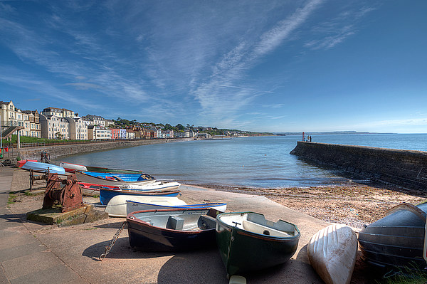  Boat Cove at Dawlish Picture Board by Rosie Spooner