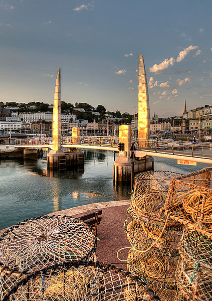 Lobster pots at Torquay Harbour Picture Board by Rosie Spooner