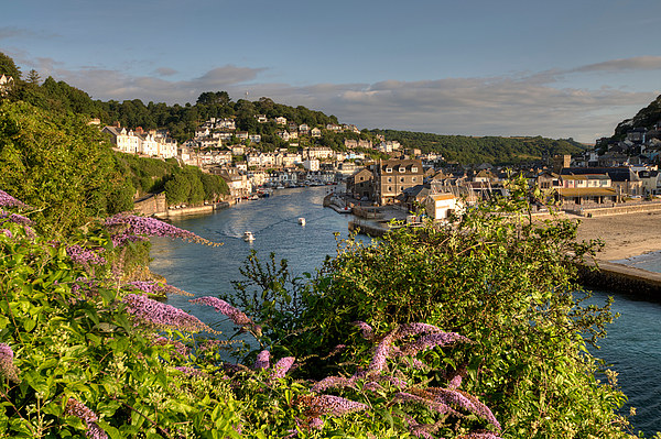  Looking down on the River Looe Picture Board by Rosie Spooner