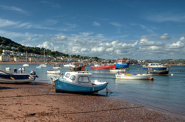  Teignmouth Back Beach  Picture Board by Rosie Spooner