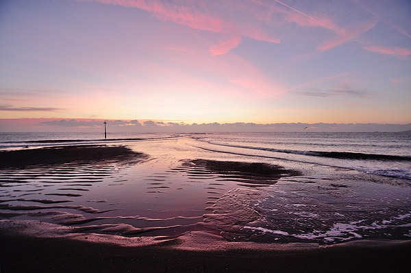 Pink low tide sunrise on Teignmouth Beach Picture Board by Rosie Spooner