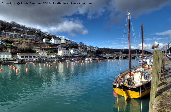Cornish Lugger on the River Looe  Picture Board by Rosie Spooner