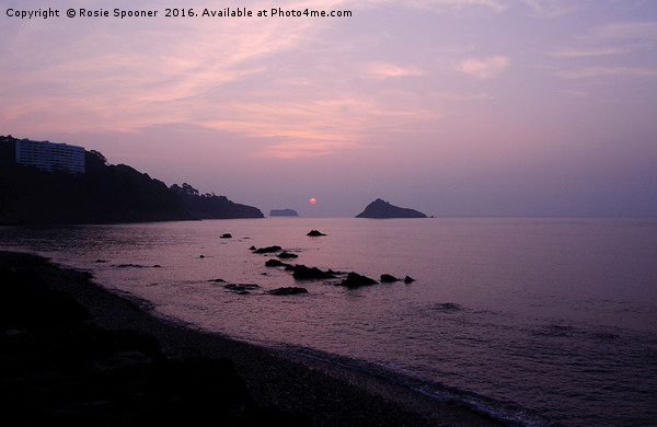 Misty Sunrise at Meadfoot Beach Torquay Picture Board by Rosie Spooner