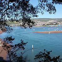 Buy canvas prints of Teignmouth and Shaldon from the coast path by Rosie Spooner