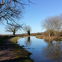Buy canvas prints of Grand Western Canal between Westleigh and Burlescombe by Rosie Spooner