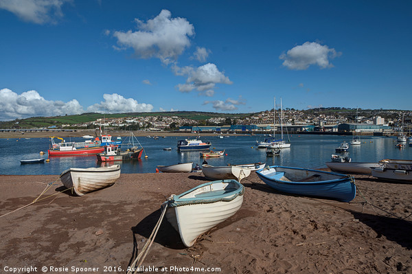 Teignmouth Back Beach on the River Teign Picture Board by Rosie Spooner