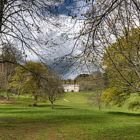 Buy canvas prints of Cockington Court in Cockington Country Park by Rosie Spooner