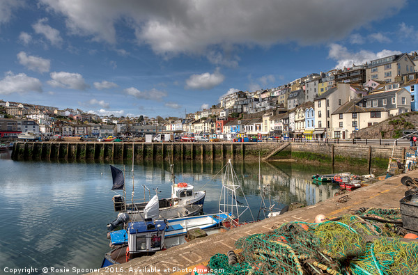 Colourful Brixham Harbour in the sunshine Picture Board by Rosie Spooner