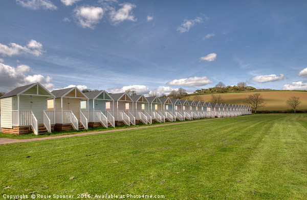Beach Huts on the green at Broadsands Beach Picture Board by Rosie Spooner
