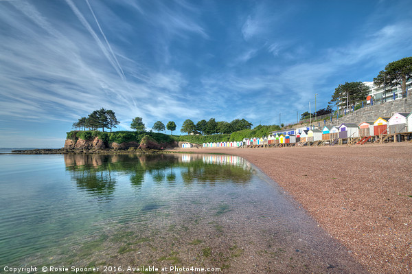 Early summer morning at Corbyn Head Beach Torquay Picture Board by Rosie Spooner